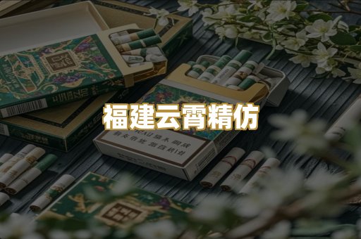 福建云霄精仿